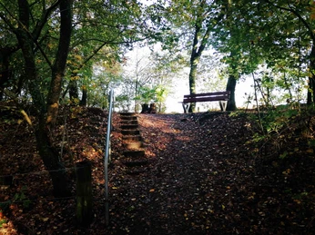 Voßberg_Foto-1-Copyright vhe-IMG_20241030_181156.jpg