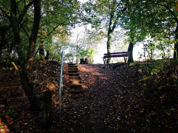 Voßberg_Foto-1-Copyright vhe-IMG_20241030_181156.jpg