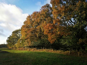 Voßberg_Foto-2-Copyright vhe-IMG_20241030_181418.jpg