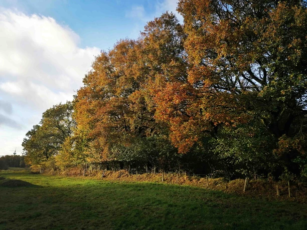 Voßberg_Foto-2-Copyright vhe-IMG_20241030_181418.jpg