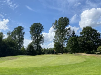 Blauer Fasan Golf 2.jpg Grüner Golfplatz mit gepflegtem Rasen und markanten Bäumen vor blauem Himmel.