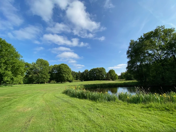 IMG_7643.jpg Das Bild zeigt eine idyllische Wiesenlandschaft mit einem kleinen Teich, umgeben von saftigem Grünen Gras und Bäumen unter einem klaren blauen Himmel.
