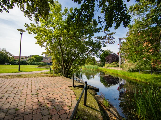 C5D_7030_._MedienAtleierEmsland.jpg Gepflasterter Weg mit Laterne, Wiese, Bäumen und kleinem Teich im Bürgerpark bei sonnigem Wetter.