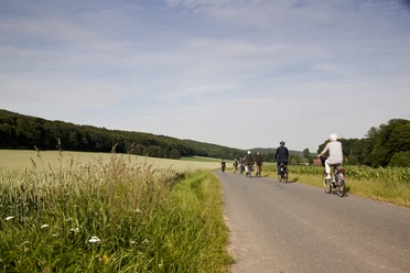 Radtour im Sommer.jpg