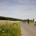Radtour im Sommer.jpg