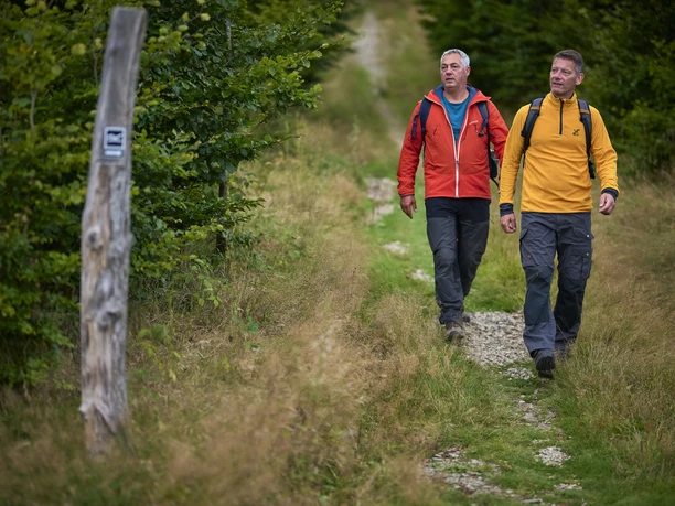 Zwei Wanderer auf einem schmalen Pfad auf dem Wanderweg Rothaarsteig