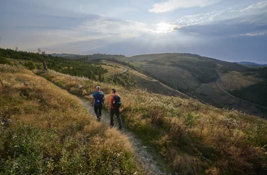 Aussicht ins Uentroptal bei Jagdhaus auf dem Rothaarsteig Wanderer auf einem schmalen Pfad mit Ausblick auf die hügelige Landschaft des Rothaargebirges