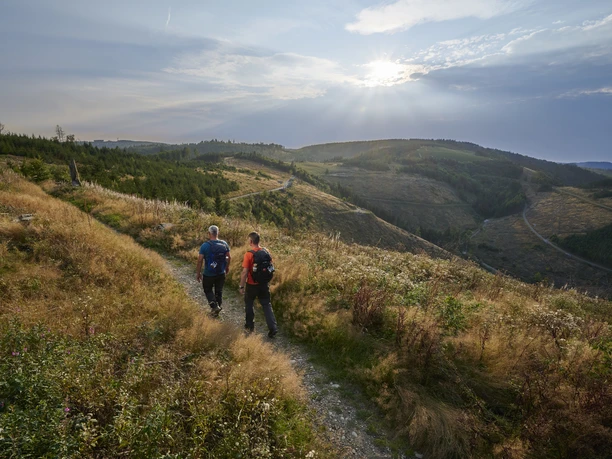 Aussicht ins Uentroptal bei Jagdhaus auf dem Rothaarsteig Wanderer auf einem schmalen Pfad mit Ausblick auf die hügelige Landschaft des Rothaargebirges