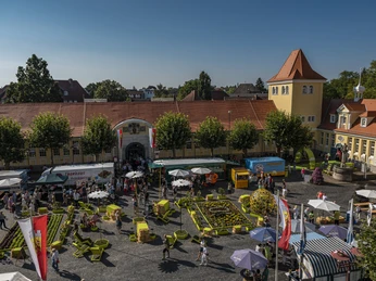 Markthalle_Herford_Pro Herford GmbH.jpg Luftaufnahme der Markthalle Herford mit bunten Ständen, geschäftigem Treiben und historischen Gebäuden.