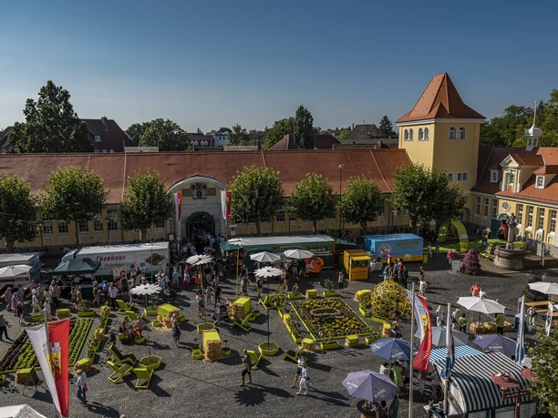 Markthalle_Herford_Pro Herford GmbH.jpg Luftaufnahme der Markthalle Herford mit bunten Ständen, geschäftigem Treiben und historischen Gebäuden.