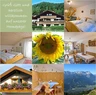 Ferienwohnung Steinhauser Ferienwohnung Steinhauser