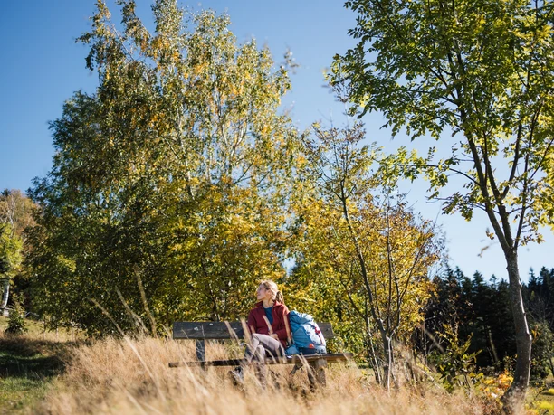 Rast am Köhlerweg um Sosa
