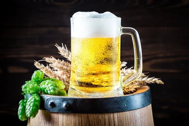 Bier
