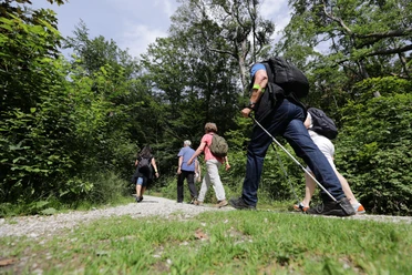 Eine kleine Heilklima-Wanderung (Foto Heiko Rhode_190620_19).JPG