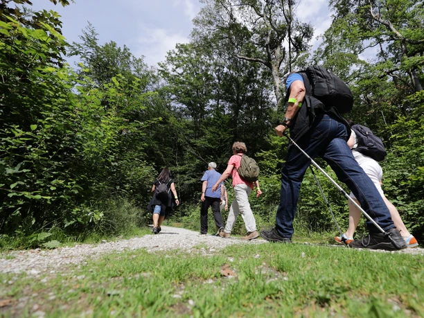 Eine kleine Heilklima-Wanderung (Foto Heiko Rhode_190620_19).JPG