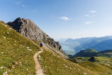 Steinbock-Trek Brienzer Rothorn, Sörenberg