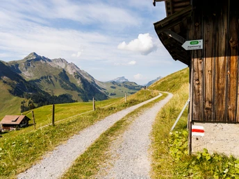 Steinbock-Trek Brienzer Rothorn, Sörenberg