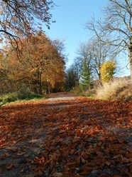 Kastanienallee