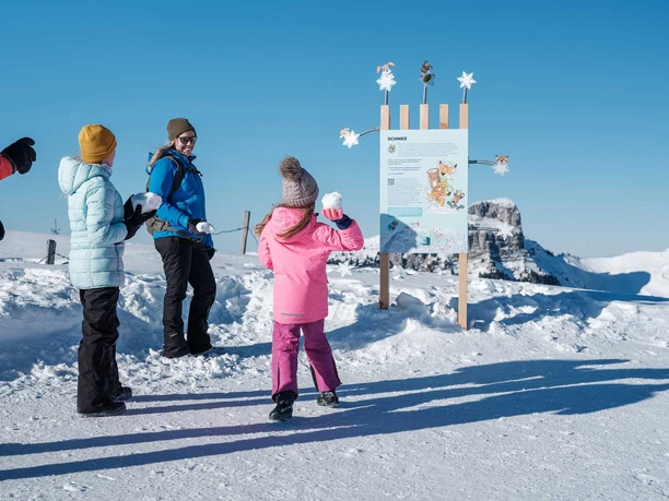 niederhorn-winter-familie-rockys-winterabenteuer-posten-schneeball-ziele.jpg
