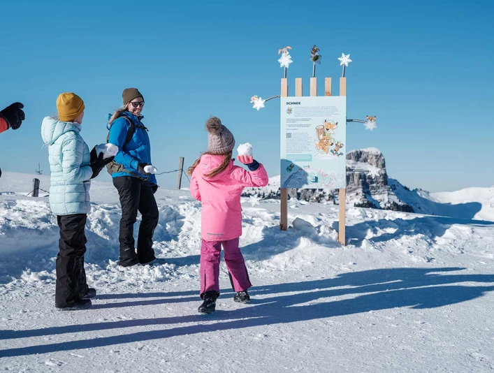 niederhorn-winter-familie-rockys-winterabenteuer-posten-schneeball-ziele.jpg