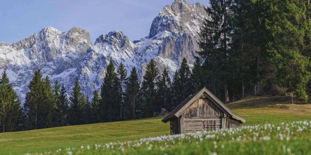 Frühlingsrundgang über die Buckelwiesen