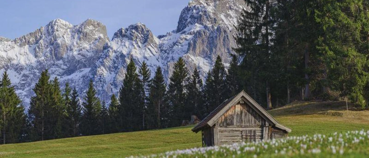 Frühlingsrundgang über die Buckelwiesen