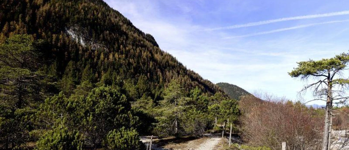 Erkundungstour in den Riedboden