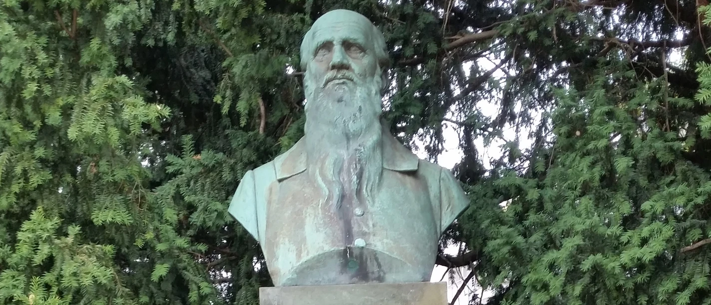 Büste von Friedrich Ludwig Jahn auf einem Sockel, umgeben von dichten, grünen Nadelbäumen.