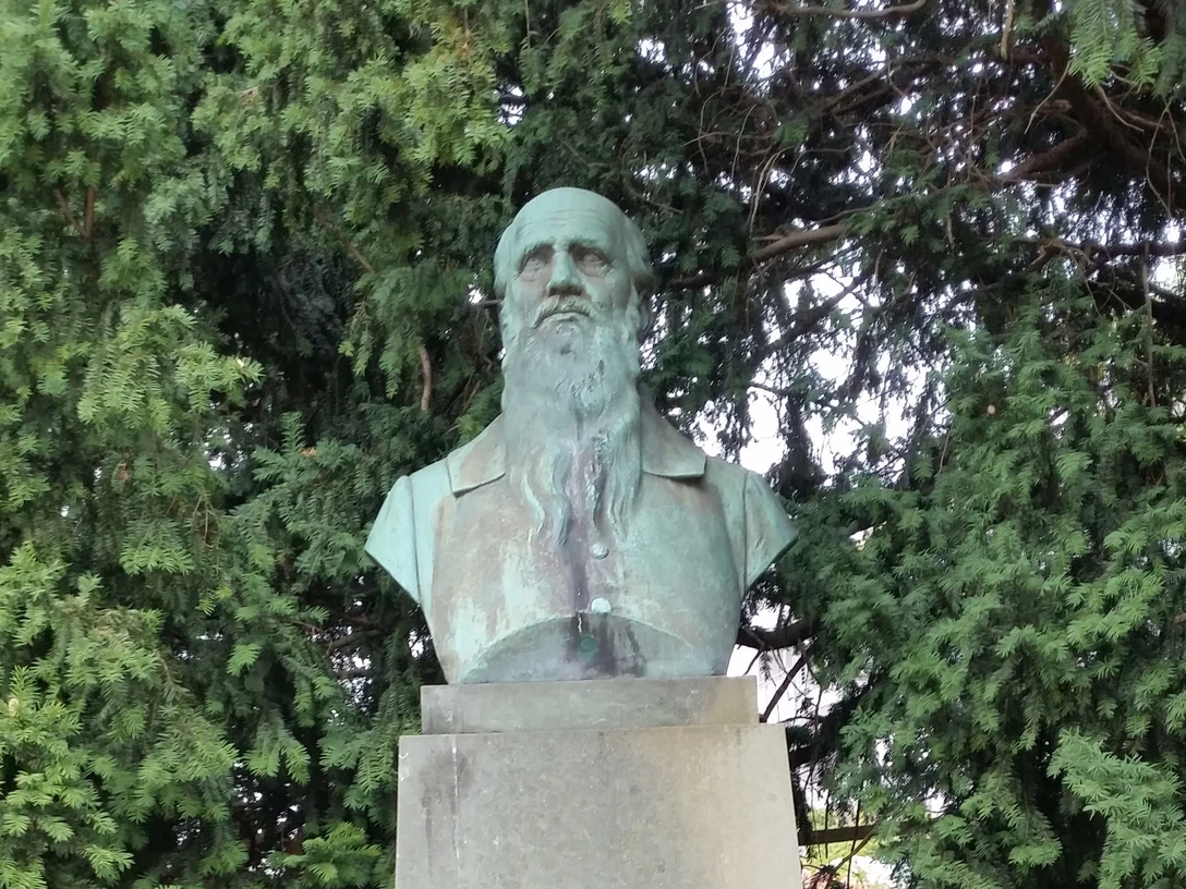 Herford-Jahn_Denkmal_Pro Herford.jpg Büste von Friedrich Ludwig Jahn auf einem Sockel, umgeben von dichten, grünen Nadelbäumen.