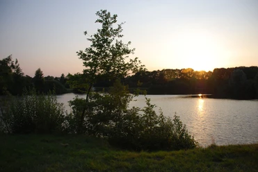 Camping & Ferienpark Falkensteinsee