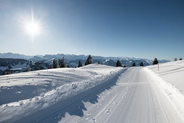 Präparierter Winterwanderweg auf der Rigi