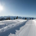 Präparierter Winterwanderweg auf der Rigi