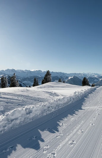 Präparierter Winterwanderweg auf der Rigi