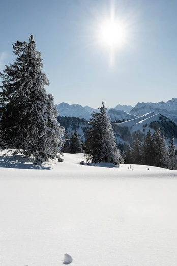Aussicht auf die Winterlandschaft vom Schinenfluhweg auf der Rigi