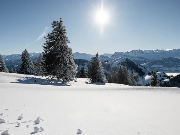 Aussicht auf die Winterlandschaft vom Schinenfluhweg auf der Rigi