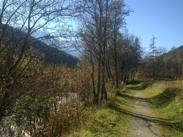Rollstuhlweg Fiesch-Fieschertal