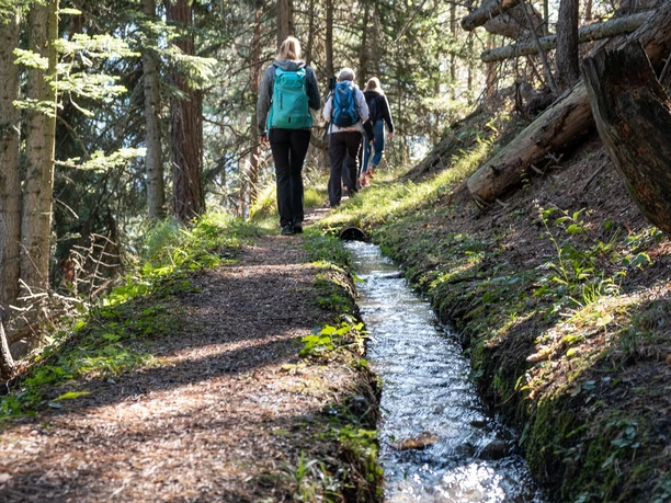 Suone Bärgeri - Suone des Jahre 2020