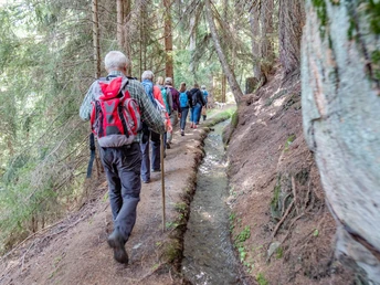 Suone Bärgeri - Suone des Jahre 2020