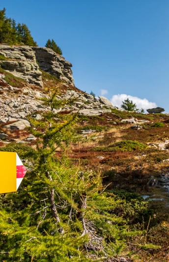 Wegweiser Richtung Alpjen