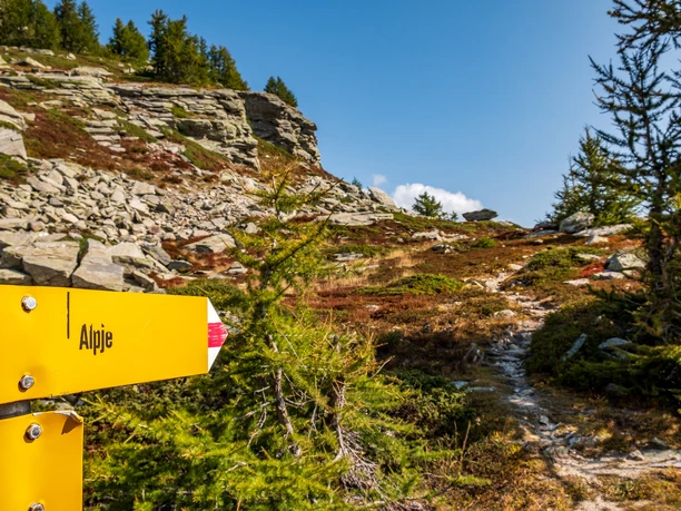 Wegweiser Richtung Alpjen