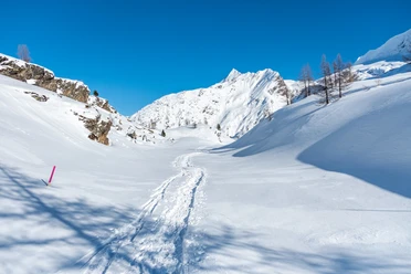 Pfad im Hintergrund das Wasenhorn