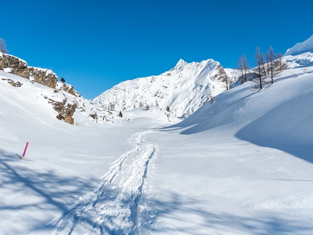 Pfad im Hintergrund das Wasenhorn