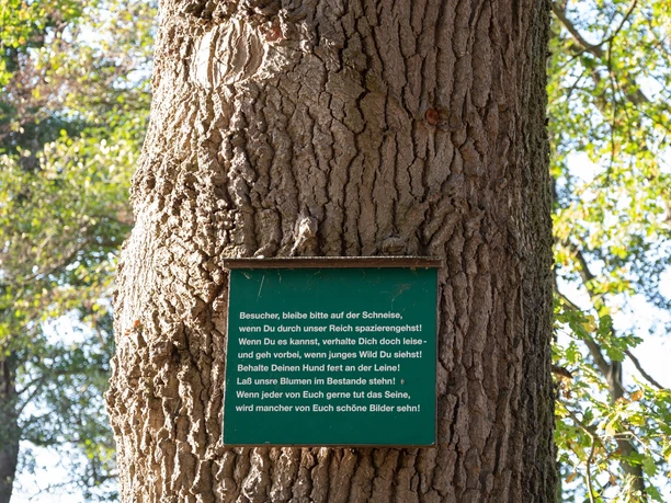 Gedicht am Eichenbaum