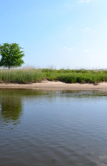 Elbufer bei Hitzacker