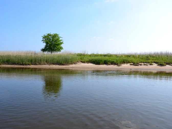 Elbufer bei Hitzacker