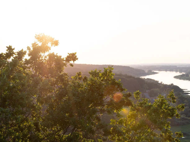 Blick auf die Elbe vom Aussichtsturm Kniepenberg