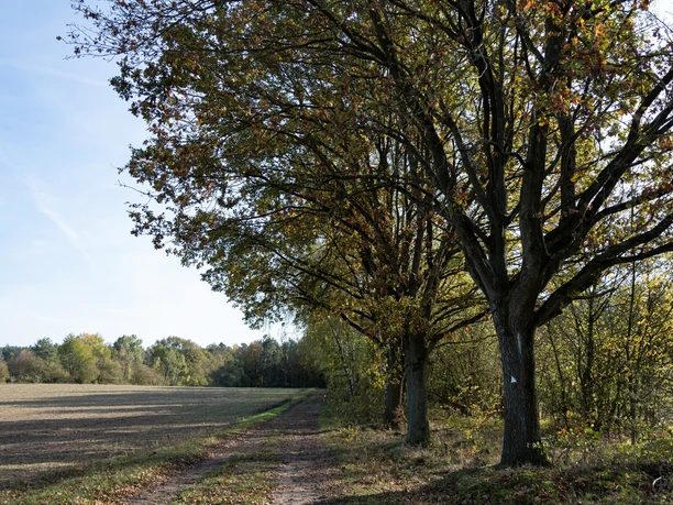 Wanderweg entlang des Klötzie-Stiegs