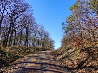 Wanderweg Alter Steiger
