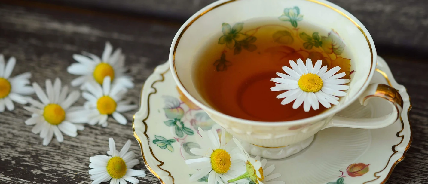 kloenschnack-tee.jpg Eine zarte Kamillenblüte schwimmt auf einer Tasse frisch gebrühten Tees, umgeben von weiteren Kamillenblüten. Der Ostfriesische Tee in der eleganten Porzellantasse strahlt Ruhe und Gemütlichkeit aus und lädt zum Verweilen ein. Die Umgebung betont die rustikale Natur eines entspannten Moments bei einer Tasse Tee.
