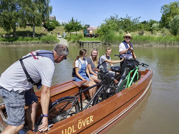 Holstein_Kronsnest (2)